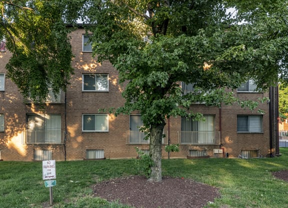 an apartment building with a tree in front of it