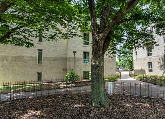 a tree in front of an apartment building