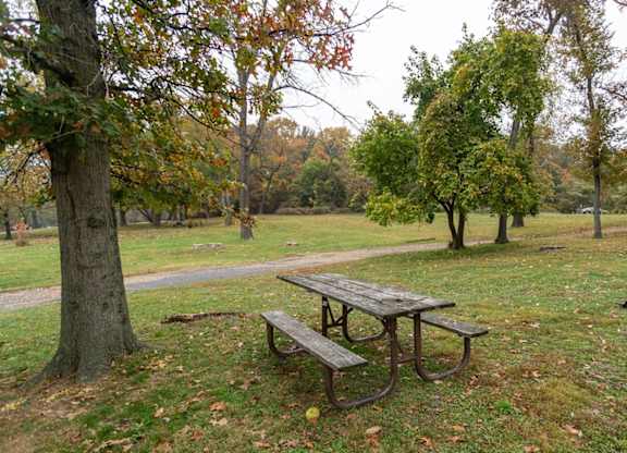 a picnic table and a bench in a park