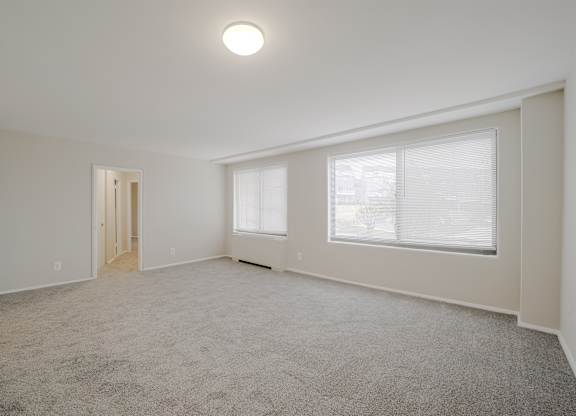 A spacious room with a carpeted floor and a single window.