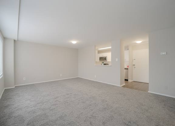 A large, empty room with a carpeted floor and white walls.