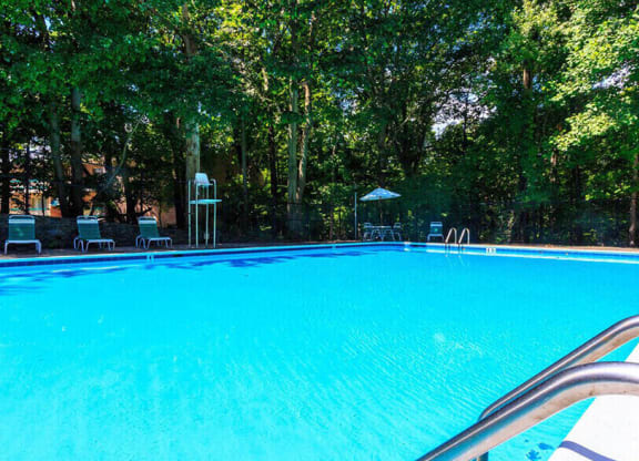 Sparkling Swimming Pool at The Forest Apartments in Rockville, MD