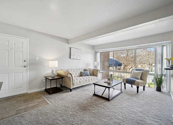 A living room with a white couch and a grey rug.