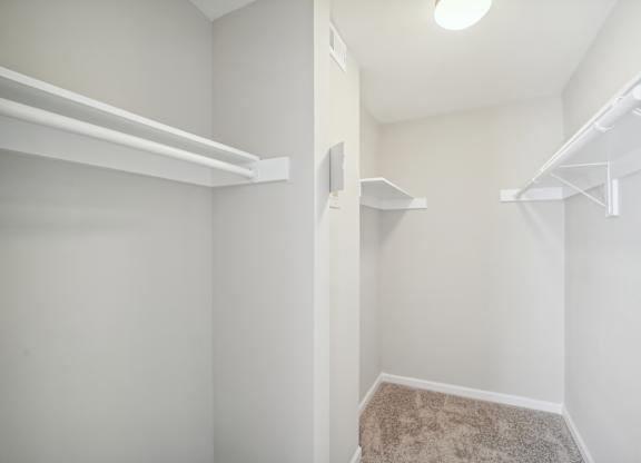 Empty white closet with shelves and a carpeted floor.
