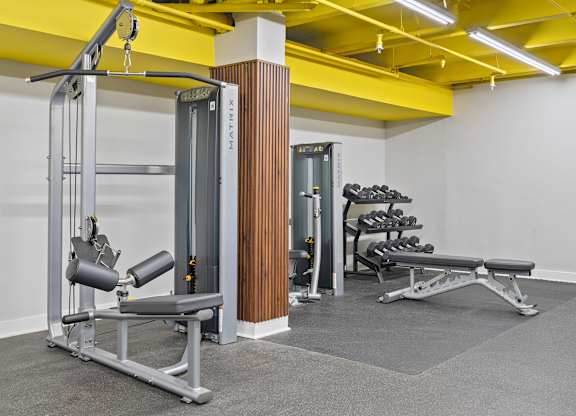 A gym with a weight bench, a squat rack and a barbell.