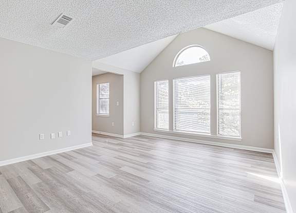 Spacious living room with vaulted ceilings at Salem Glen Apartments, Georgia, 30013