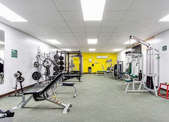 a large fitness room with weights machines and a yellow wall at Lory of Harbison, Columbia, 29212