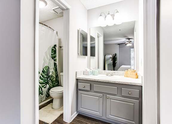 Luxurious Bathroom at Wildcreek Apartments, Georgia 30021