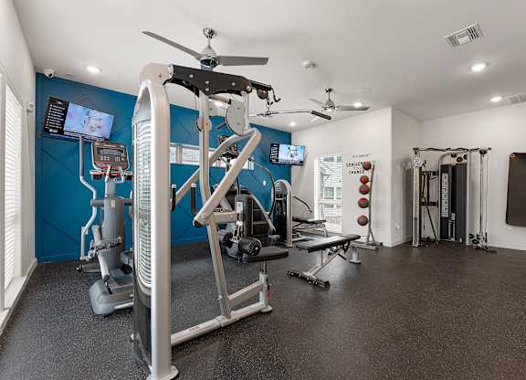 A gym with a variety of equipment including a treadmill, weights, and a bench press.