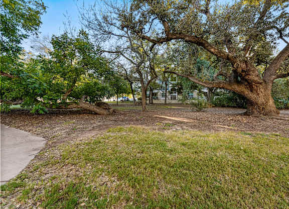 Green Space at Bridge at Indigo, Austin, 78717