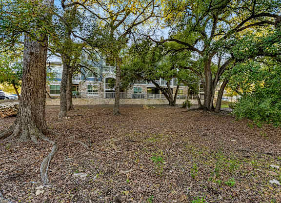 A tree-filled area with a building in the background. at Bridge at Indigo, Austin, Texas