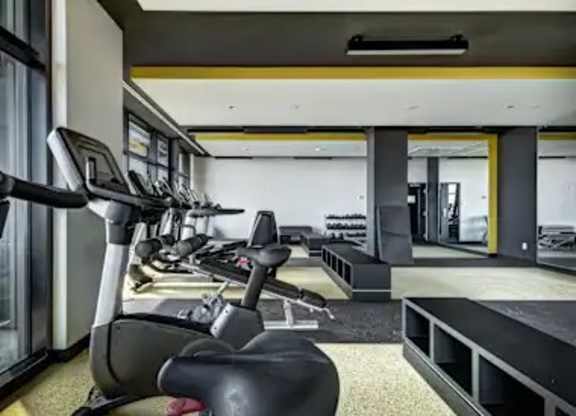 A gym with treadmills and elliptical machines.