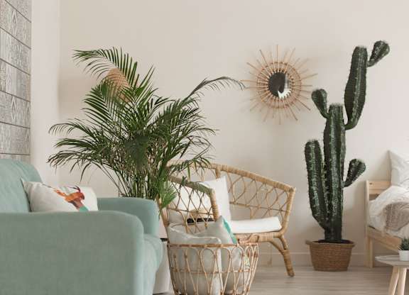 A living room with a couch, chair, and potted plants.