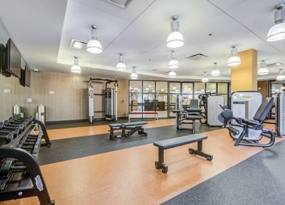 Image showing precision meets endurance. High-performance free weights and machines in a motivating setting.
