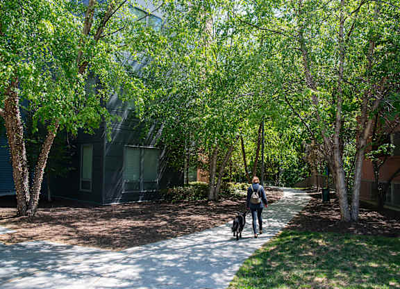 Walking Trail