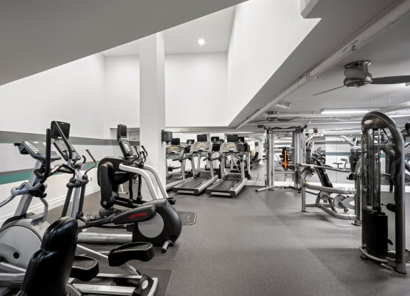 a gym with cardio equipment and weights on the floor