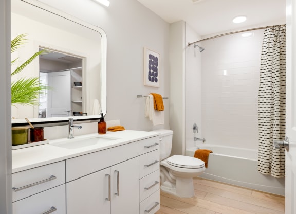 a bathroom with a mirror and a toilet and a shower
