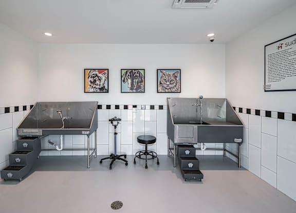 A room with two sinks and a stool in the middle.