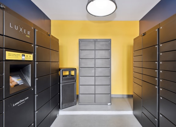 a locker room with dark brown lockers and a yellow wall