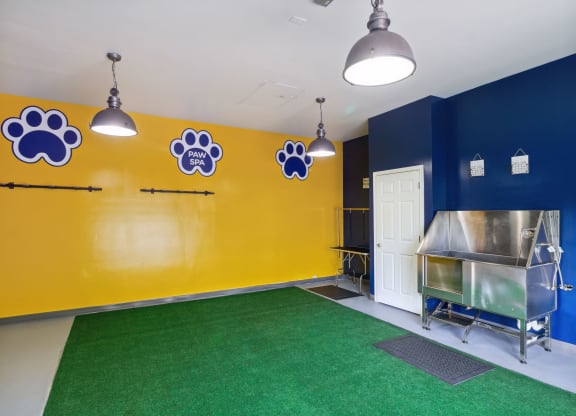 a large room with a green carpet and blue and yellow walls