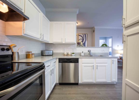 Apartment kitchen