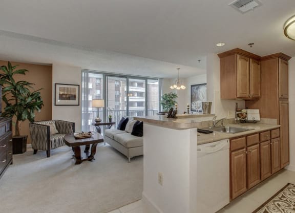 model kitchen - The Metropolitan MD