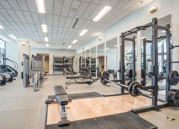 Gym with weight lifting equipment