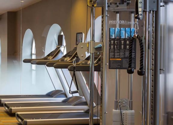 A gym with treadmills, weights and exercise equipment.