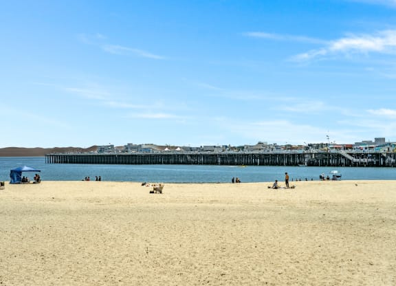 people on the beach and the pier at the oceanside