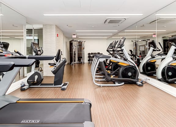 our state of the art gym is fully equipped with free weights and cardio equipment