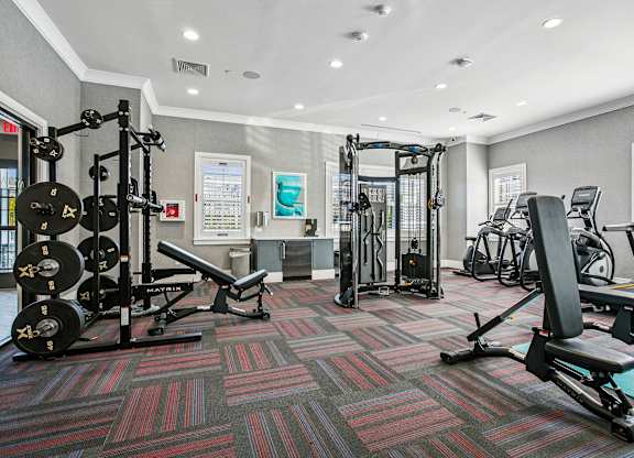 A gym with a variety of equipment including a squat rack, bench press, and a treadmill.