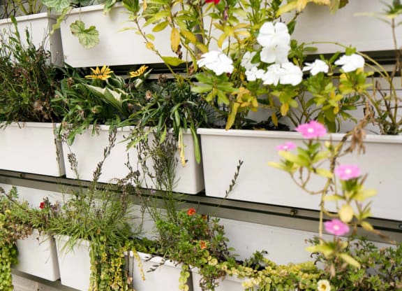 A wall of white planters with various plants in them.