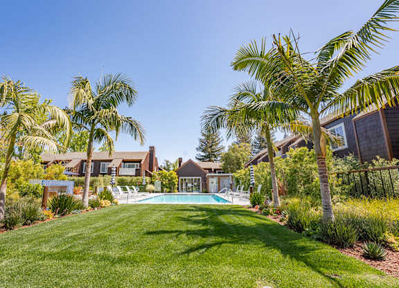 A backyard with a pool and palm trees.