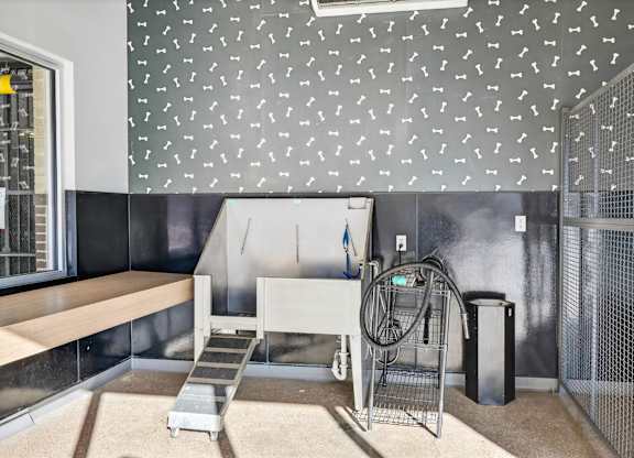 Luxury apartment pet spa with washing stations and pet-friendly design.