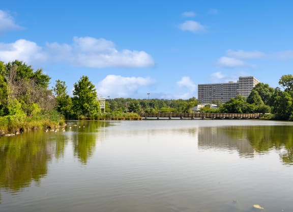 a body of water with trees and a bridge     and a building
