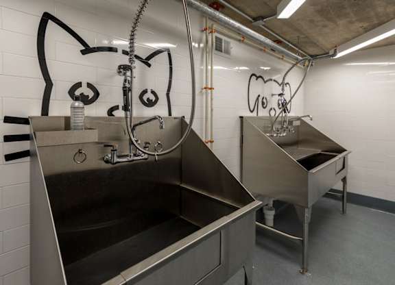 A cat-shaped water fountain is located in a room with a grey floor and white walls.