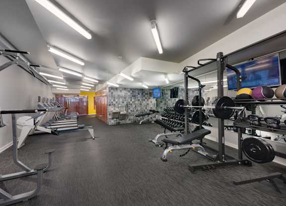 A gym with a variety of equipment including treadmills, weights, and a television.