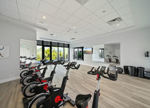 Spin and yoga studio