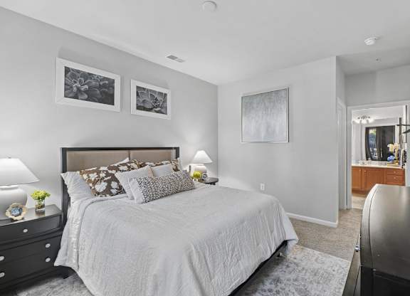 Primary bedroom with walk-in closet and attached bathroom