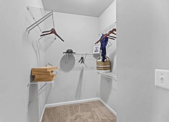 Spacious walk in closet