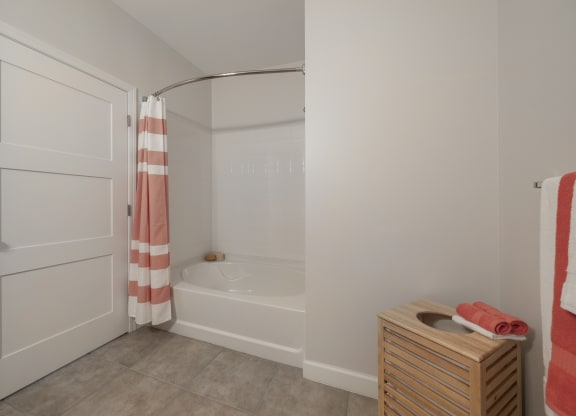 a bathroom with a tub and a shower and a dresser