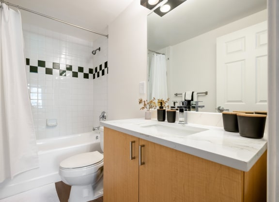 a bathroom with a sink and a toilet and a shower