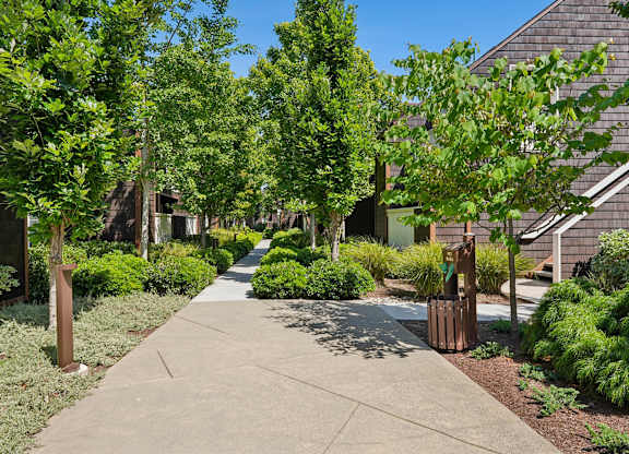 Landscaped walkway at Grove Apartments lined with trees, greenery, and apartment homes.