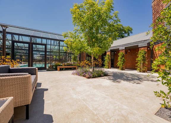 Community courtyard with greenery and relaxed outdoor space