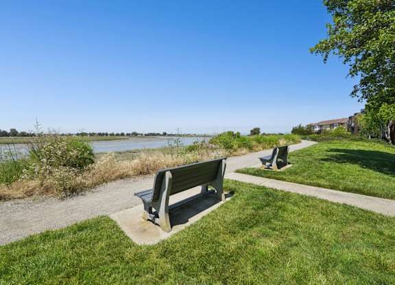 Benches beside walking trail overlooking grassy waterfront landscape.