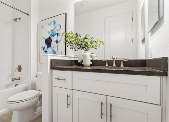 A white bathroom with a toilet, sink, and a framed picture on the wall at Marisol in Lakewood Ranch, FL