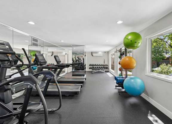 Fitness center with treadmills, cardio equipment, mirrors, and exercise accessories