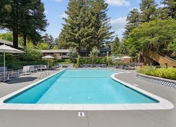 Resort-style swimming pool at Old Orchard Apartments with lounge seating and mature trees.