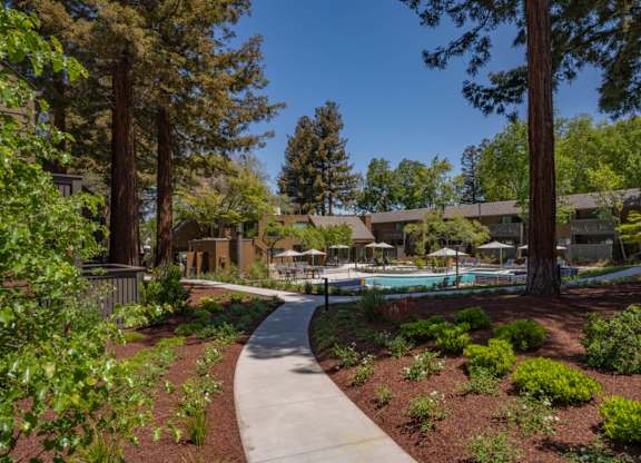 Curved walkway leading to pool area surrounded by landscaping and tall trees