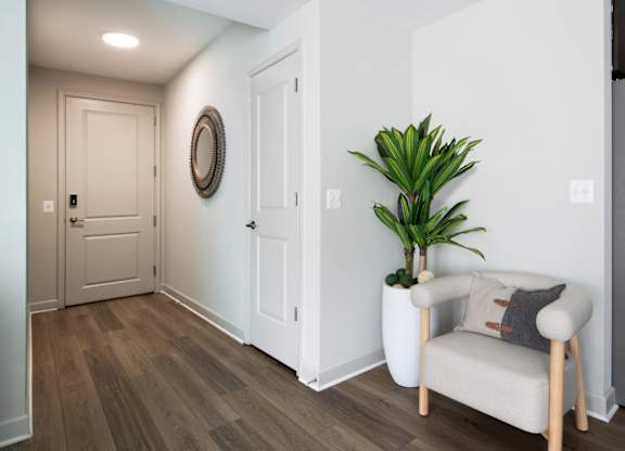 A white door with a mirror above it and a plant to the right.